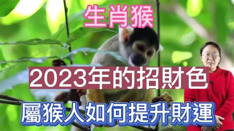 2023屬猴幸運色|2023年12生肖運勢大全——生肖猴